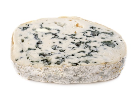 Piece of blue cheese fourme d'Ambert in front of white backgroundの写真素材