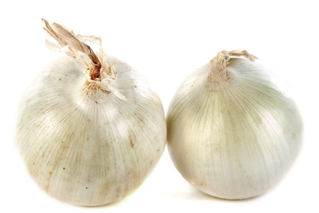 white sweet onions in front of white backgroundの写真素材