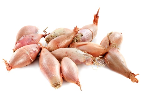 group of shallots in front of white backgroundの写真素材