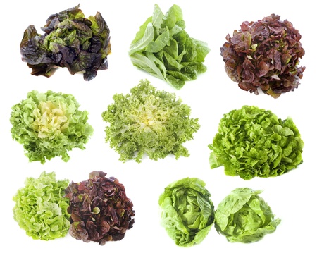 varieties of salads in front of white backgroundの写真素材