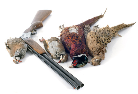 hunting games in front of white backgroundの写真素材