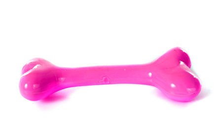 dog bone in front of white backgroundの写真素材