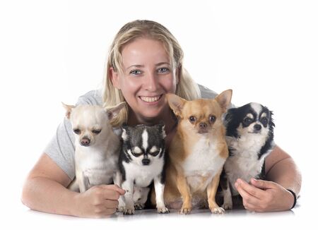 girl and chihuahuas in front of white backgroundの写真素材