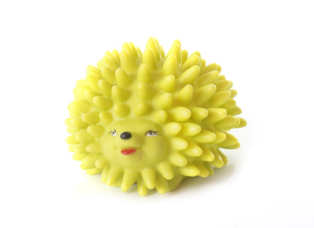 dog toy in front of white backgroundの写真素材