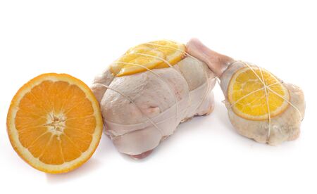 duck with orange in front of white backgroundの写真素材