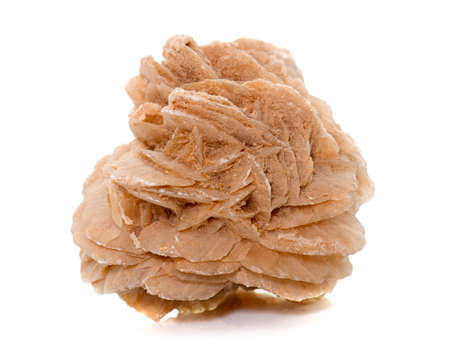 desert rose in front of white backgroundの写真素材