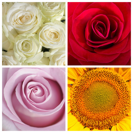 composite picture with close up of heart of flowersの写真素材