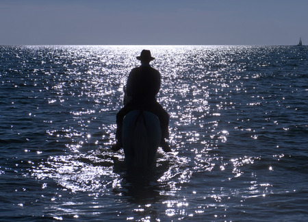horse rider walking in the sea in eveningの写真素材