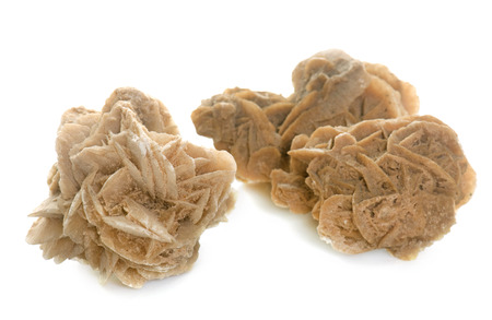 Desert roses in front of white backgroundの写真素材