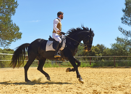 riding man and his stallion in a training of dressageの写真素材