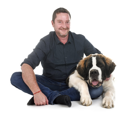 young saint bernard and owner in front of white backgroundの写真素材