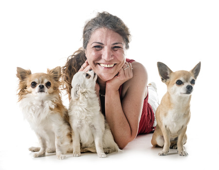 dogs and owner in front of white backgroundの写真素材