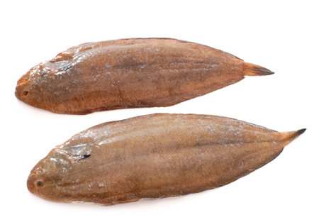 two sole fishes in front of white background