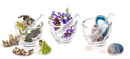 mortar and flowers, stones and moss in front of white background