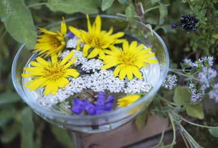 plant tinctures with flower for alternative medicineの写真素材