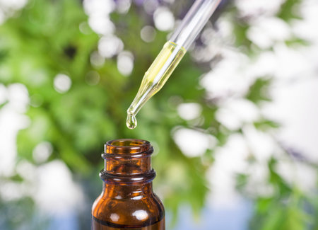 Essential oils in front of white background and plant