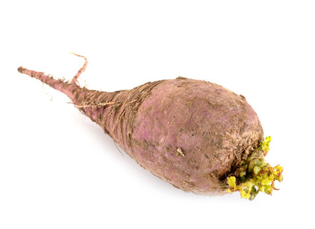 purple radish in front of white background