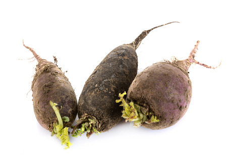 fresh radish in front of white backgroundの写真素材