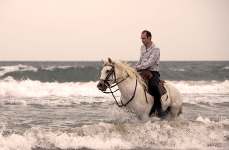  riding man are training her horse on the beach