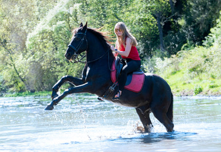riding girl are training her black horse in a riverの写真素材