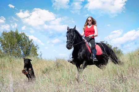 riding girl are training her black horse