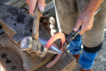 Farrier with horse hoof working close upの写真素材