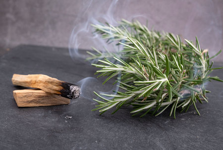 palo santo and rosemary in front of dark backgroundの写真素材
