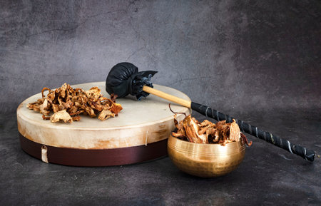 natural tambourine and mushroom in front of white backgroundの写真素材