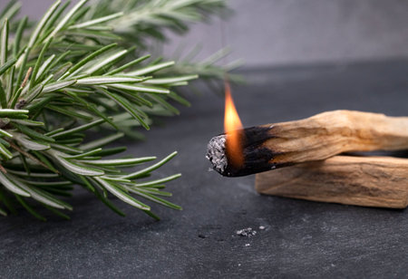 palo santo and rosemary in front of dark backgroundの写真素材