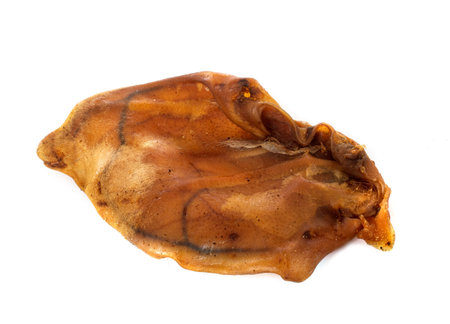 gnawing food for dog in front of white background