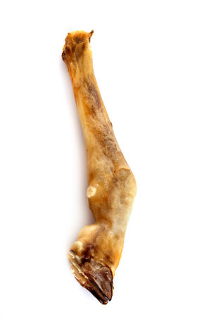 drying gnaw in front of white background