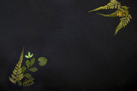 slate with space text with flower and plant