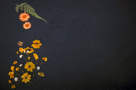 slate with space text with flower and plantの写真素材