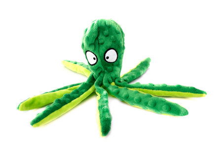 green octopus in front of white backgroundの写真素材