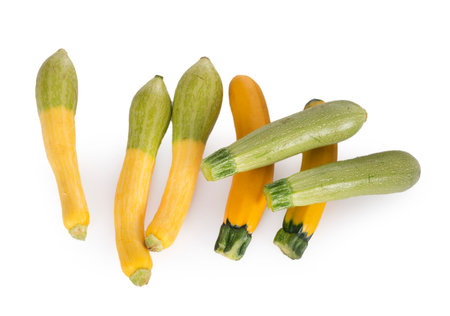 colorful zucchini in front of white backgroundの写真素材