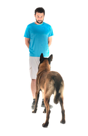 belgian shepherd and man in front of white backgroundの写真素材