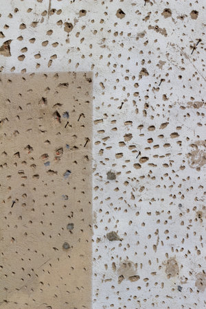 Old deteriorating and mottled partially painted plaster wall texture with a shabby appearance