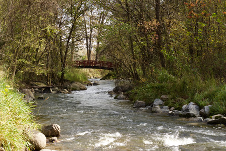 Landscape view of a rustic wooden bridge over a remote river in a woodland settingの写真素材