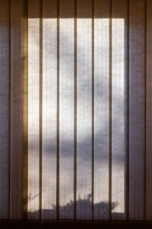 Tree shadows dance upon beige vertical blinds from low angle sun on a wide residential window