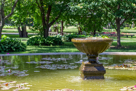 Close up of a stone water fountain surrounded with floating lotus flowers and leaves of water lilies...