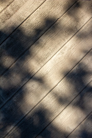 Texture background view of tree shadows dancing across a building with diagonal cedar siding