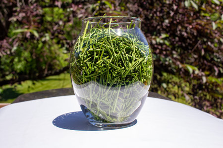 Close up view of a jar of freshly dehydrated chive herbs with an outdoor nature sunny background