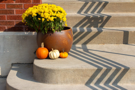 Close up abstract view of a sunny doorstep with an autumn planter of yellow flowers adorned with...