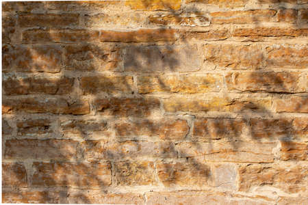 Vintage tan and brown limestone block wall texture background in full sunlight, with tree shadowsの写真素材