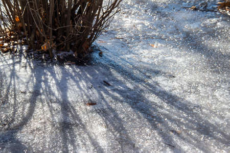 This images shows an abstract texture background of a hard frozen snow and ice covered lawn with a bare lilac bush, in late winter with freezing and thawing, giving a grungy surface texture.の写真素材