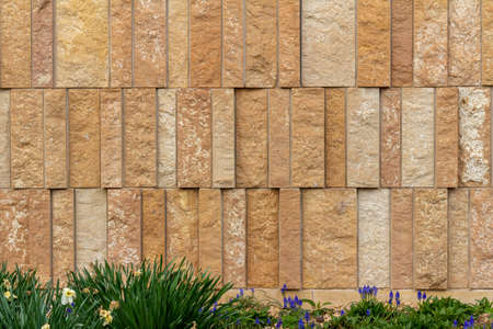 This image shows a rough textured limestone brick wall background with attractive vertical aligned natural stone blocks in shades of light brown, with view of foundation plants and grass.の写真素材