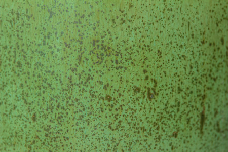 Green color abstract texture background of a macro photographed glazed ceramic stoneware surfaceの写真素材