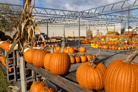 Landscape view of Halloween pumpkins at an autumn market.