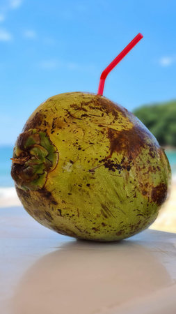 Coconut on the Beachの写真素材