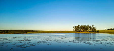 Sunrise Over the Riverの写真素材